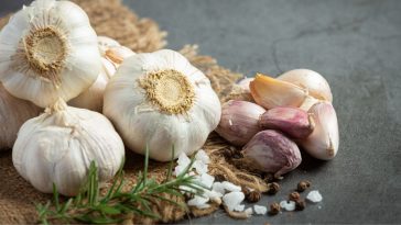 chiński czosnek a polski szkodliwość