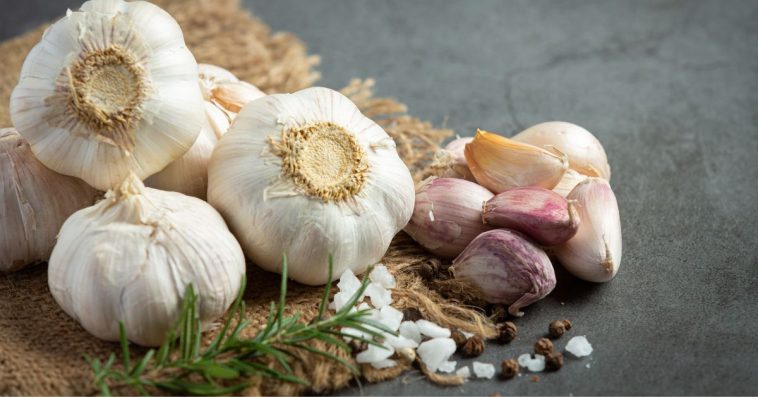 chiński czosnek a polski szkodliwość