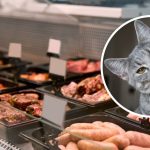 ptasia grypa w mięsie drobiowym