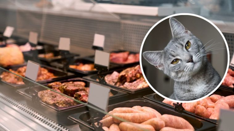 ptasia grypa w mięsie drobiowym