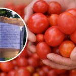 lublin ogłoszenia lokalne o pracę