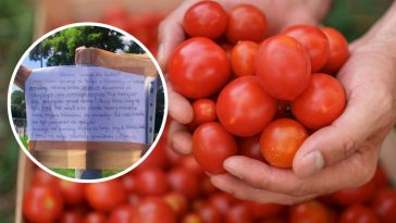 lublin ogłoszenia lokalne o pracę