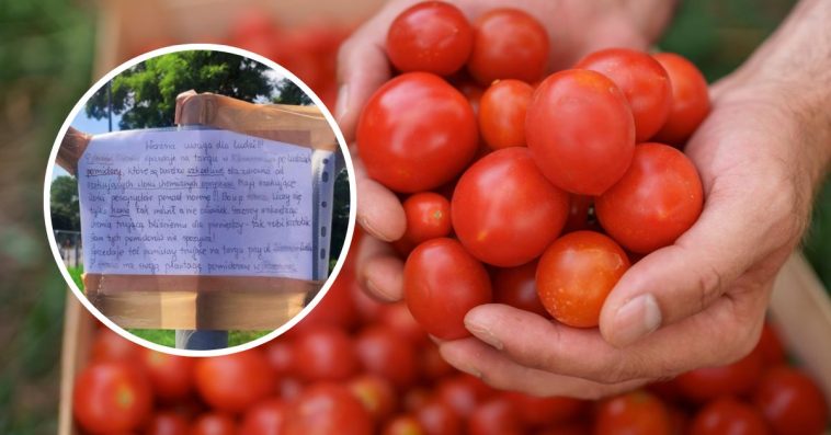 lublin ogłoszenia lokalne o pracę