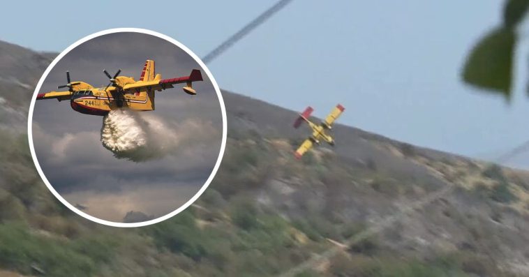 pożary w grecji przyczyny