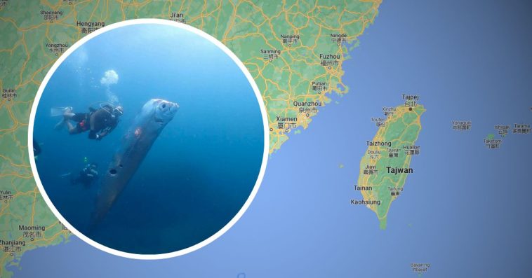 ryba zagłady tajwan