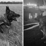 hades gdańsk zdjęcia