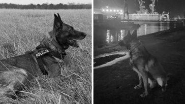 hades gdańsk zdjęcia