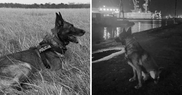 hades gdańsk zdjęcia