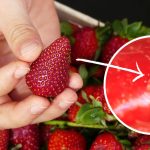 mycie truskawek w termomiksie