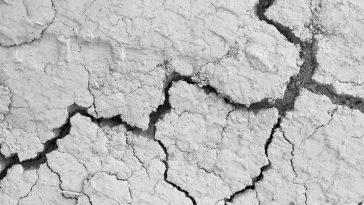 trzęsienie ziemi w polsce dzisiaj