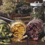 adaptogeny opinie forum na stres