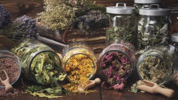 adaptogeny opinie forum na stres