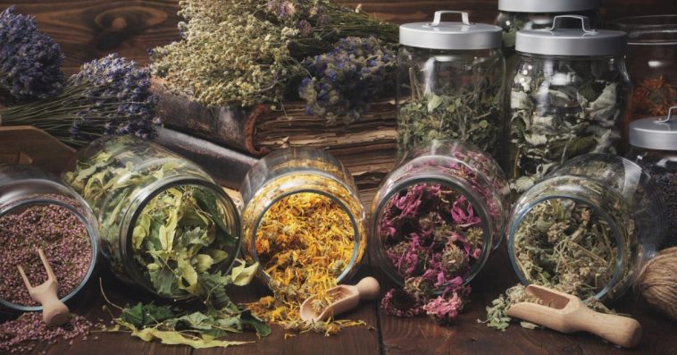 adaptogeny opinie forum na stres