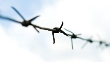 drut kolczasty jak zrobić