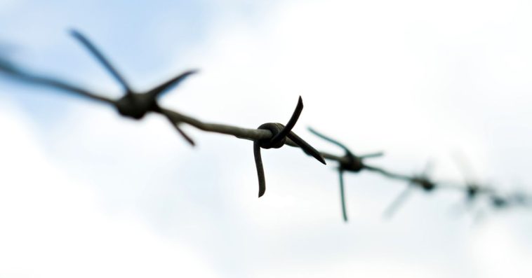 drut kolczasty jak zrobić