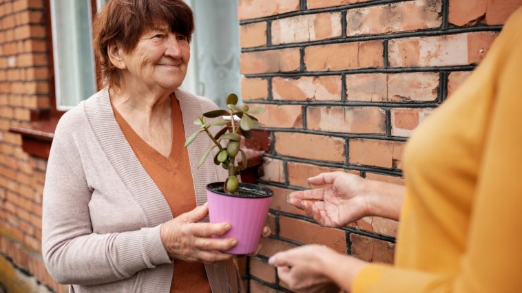 usługi sąsiedzkie wynagrodzenie rząd