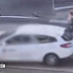 zielona góra potrącenie na pasach