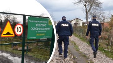 złodzieje na działkach