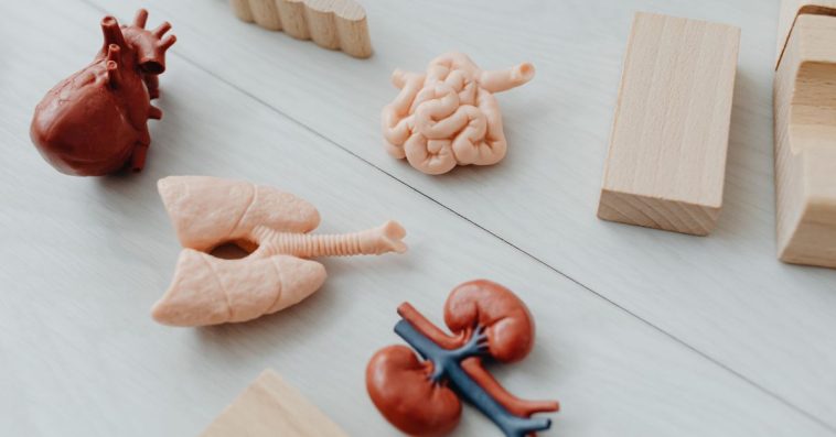 choroba płuc objawy forum