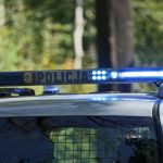 czy sa grzyby w lasach 2023