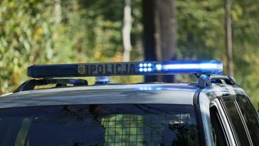 czy sa grzyby w lasach 2023