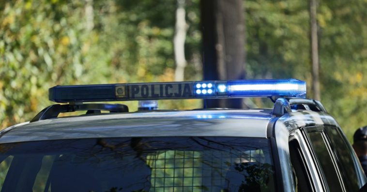 czy sa grzyby w lasach 2023