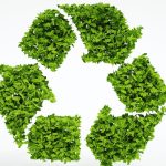 oczyszczalnia ekologiczna czy biologiczna forum