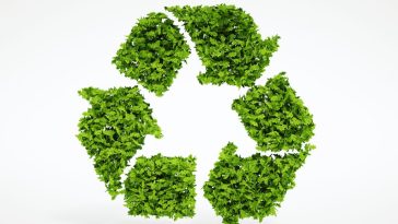 oczyszczalnia ekologiczna czy biologiczna forum