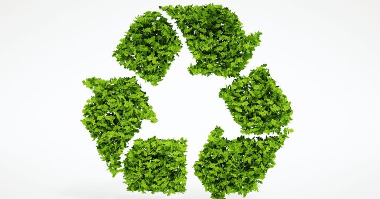 oczyszczalnia ekologiczna czy biologiczna forum