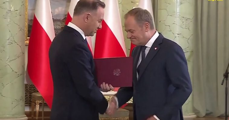 kamil smogorzewski ibris