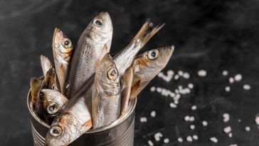 jad kiełbasiany co to