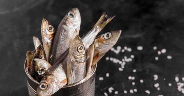 jad kiełbasiany co to