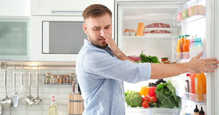 jak pozbyć się brzydkiego zapachu z lodówki?