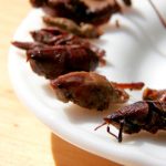 jedzenie robaków w polsce