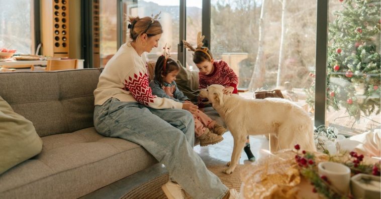 ludzkie jedzenie dla psa i kota