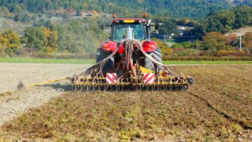 brona chwastownik opinie