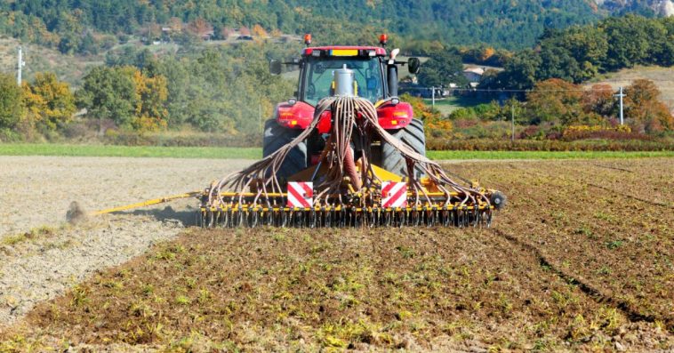 brona chwastownik opinie