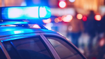 29-letni polak zamordowany w danii