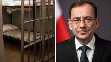 kamiński pis głodówka