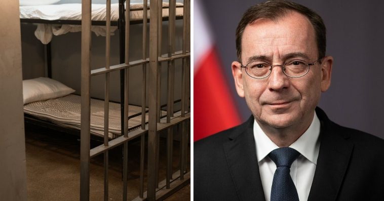 kamiński pis głodówka