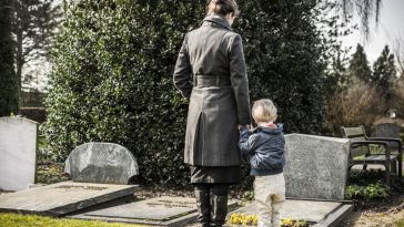 subkonto zus dziedziczenie wniosek