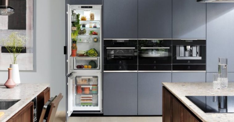 jaka lodowka do mieszkania na wynajem