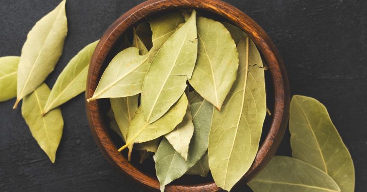 liść laurowy do prania