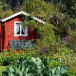 rodzinne ogródki działkowe do likwidacji