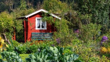 rodzinne ogródki działkowe do likwidacji