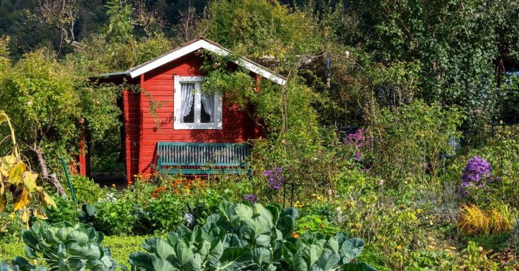 rodzinne ogródki działkowe do likwidacji