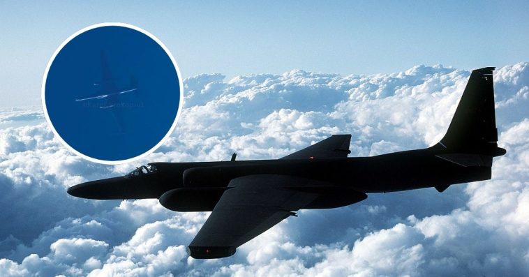 dragon lady nad polską