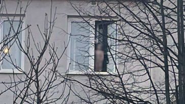 kraśnik policja wydarzenia