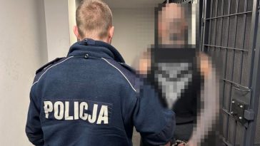 policja gdańsk zatrzymania