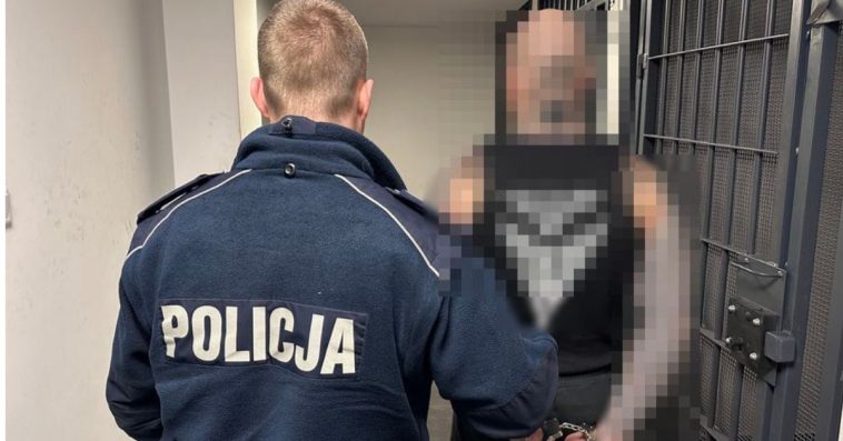 policja gdańsk zatrzymania